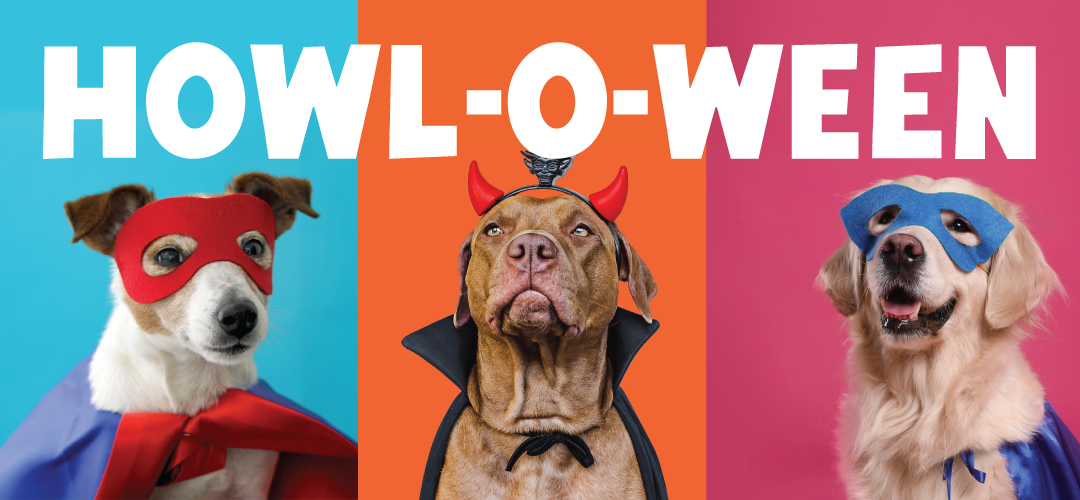 Happy HOWL-O-WEEN