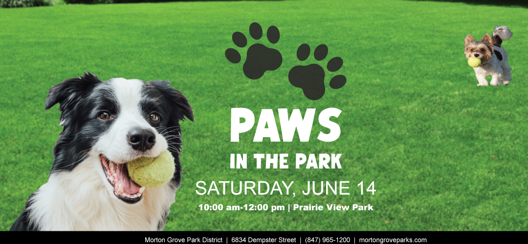 Paws in the Park