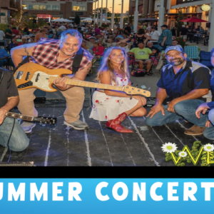 2025 Summer Concert Series-Wild-Daisy---June-17