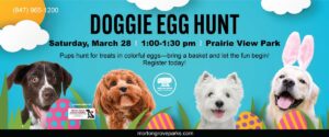 Doggie-Egg-Hunt-1200x500