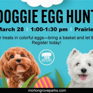 Doggie-Egg-Hunt-1200x500