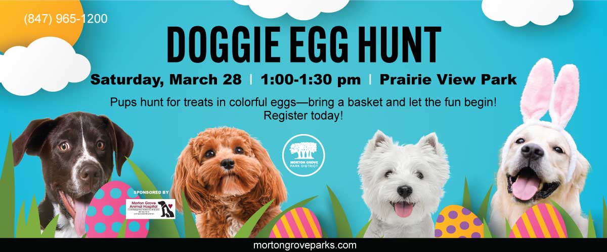 Doggie-Egg-Hunt-1200x500