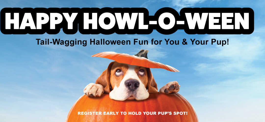 Happy Howl-O-Ween